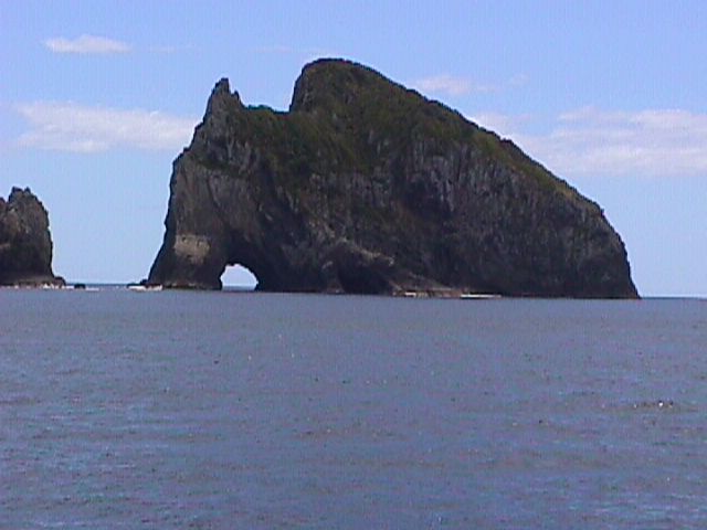 Cape Brett hole in rock